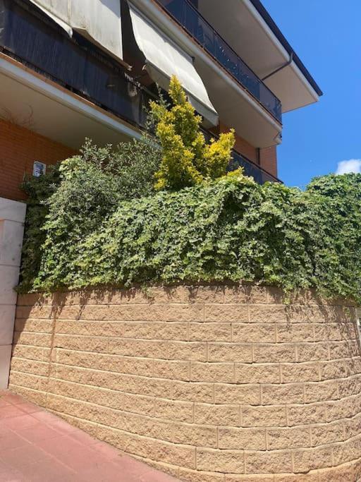 Apartamento Loft, Lloret De Mar Exteriér fotografie
